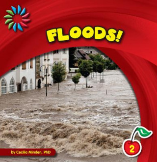 Kniha Floods! Cecilia Minden