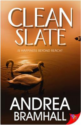 Knjiga Clean Slate Andrea Bramhall