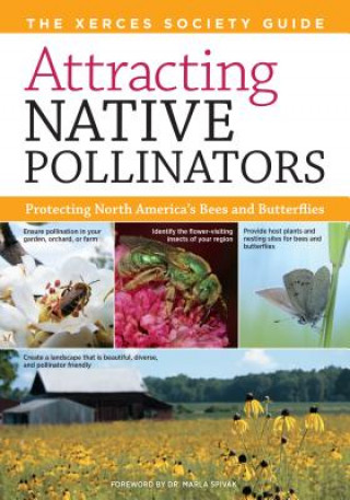 Книга Attracting Native Pollinators: The Xerces Society Guide Protecting North America's Bees and Butterflies Eric Mader