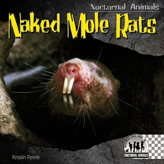 Książka Naked Mole Rats Kristin Petrie