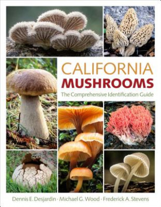 Kniha California Mushrooms Dennis E. Desjardin