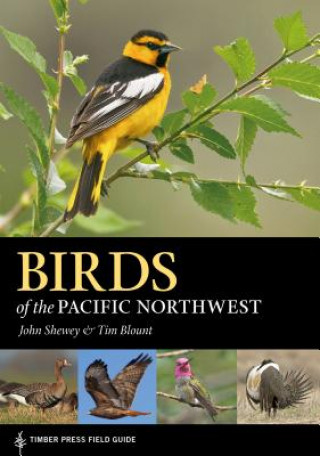 Książka Birds of the Pacific Northwest: A Timber Press Field Guide John Shewey