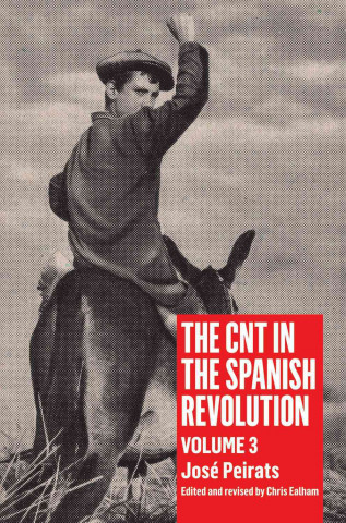 Libro The Cnt in the Spanish Revolution: Volume 3 Jose Peirats