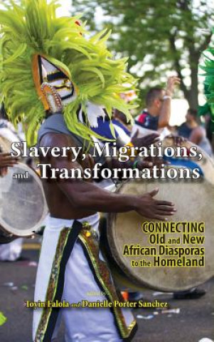 Könyv Slavery, Migrations, and Transformations Danielle Porter Sanchez
