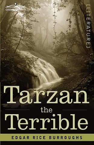 Kniha Tarzan the Terrible Edgar Rice Burroughs