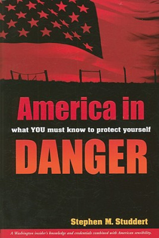 Buch America in Danger: What You Must Know to Protect Yourself Stephen M. Studdert