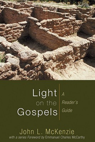 Kniha Light on the Gospels John L McKenzie