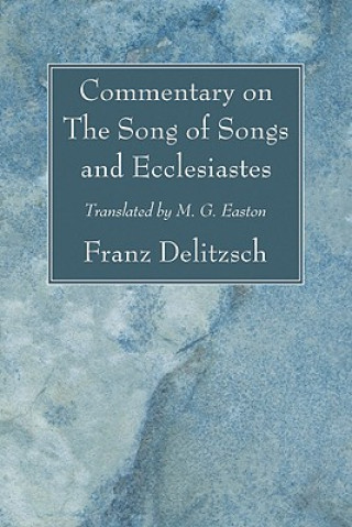 Kniha Commentary on the Song of Songs and Ecclesiastes Franz Julius Delitzsch