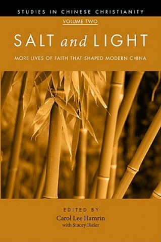 Knjiga Salt and Light, Volume 2 Stacey Bieler