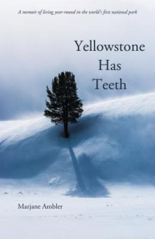 Kniha Yellowstone Has Teeth Marjane Ambler