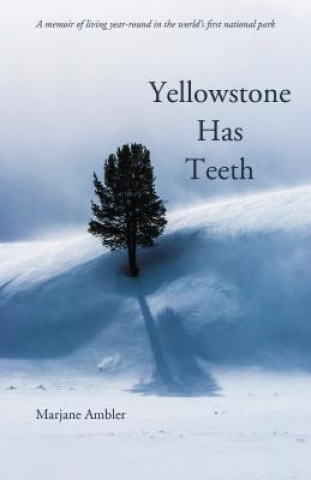 Książka Yellowstone Has Teeth Marjane Ambler