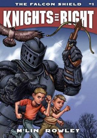 Knjiga The Falcon Shield M'Lin Rowley