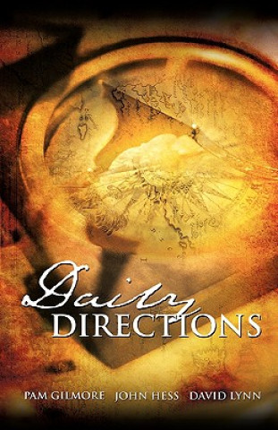 Buch Daily Directions David Lynn
