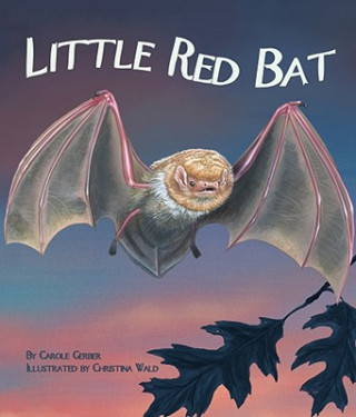 Carte Little Red Bat Carole Gerber