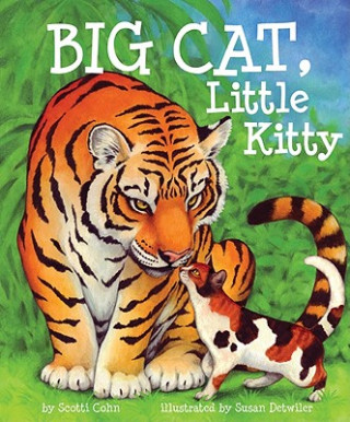 Kniha Big Cat, Little Kitty Scotti Cohn