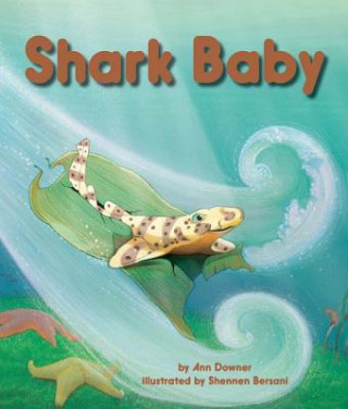 Kniha Shark Baby Ann Downer