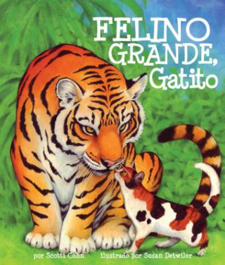 Carte Felino Grande, Gatito = Big Cat, Little Kitty Scotti Cohn