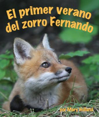 Könyv El Primer Verano del Zorro Fernando Mary Holland