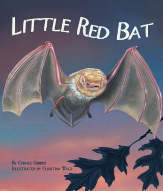 Kniha Little Red Bat Carole Gerber