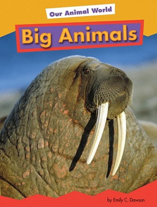 Knjiga Big Animals Heather Adamson