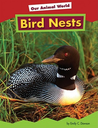 Carte Bird Nests Heather Adamson