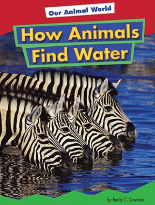 Kniha How Animals Find Water Emily C. Dawson