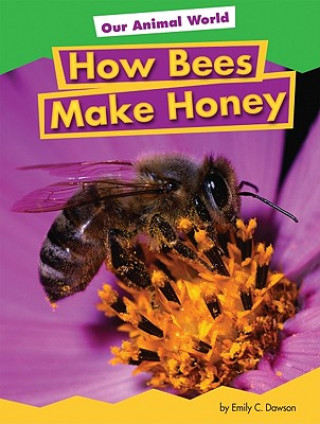 Book How Bees Make Honey Emily C. Dawson