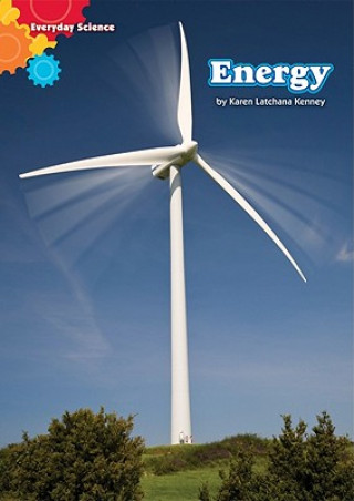 Book Energy Karen Latchana Kenney