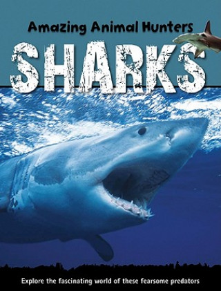 Knjiga Sharks Jen Green