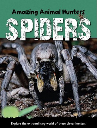 Kniha Spiders Sally Morgan
