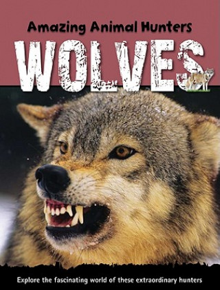 Kniha Wolves Jen Green