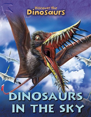Książka Dinosaurs in the Sky Joseph Staunton