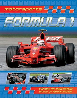 Knjiga Formula 1 Paul Mason