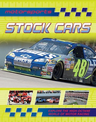 Könyv Stock Cars Paul Mason
