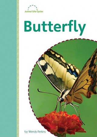 Livro Butterfly Wendy Perkins