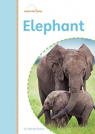 Buch Elephant Wendy Perkins