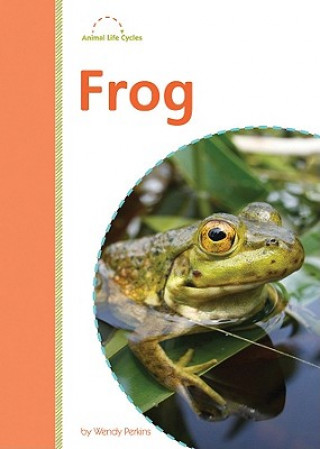 Carte Frog Wendy Perkins