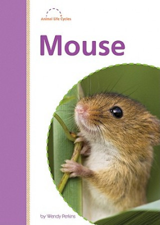 Kniha Mouse Wendy Perkins