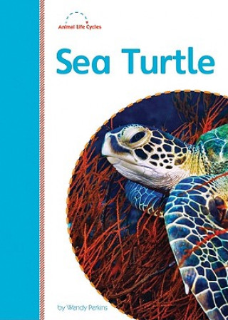 Book Sea Turtle Wendy Perkins