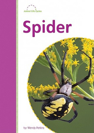 Книга Spider Wendy Perkins