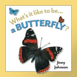 Kniha A Butterfly? Jinny Johnson