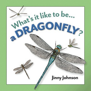 Knjiga A Dragonfly? Jinny Johnson