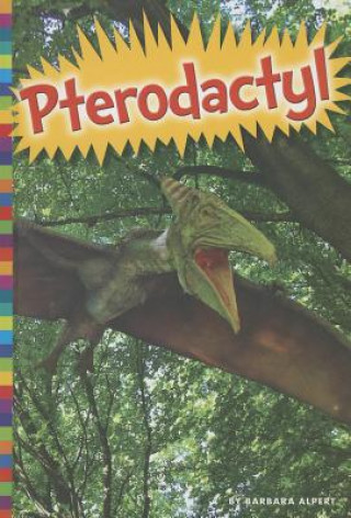 Buch Pterodactyl Barbara Alpert