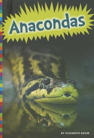 Könyv Anacondas Elizabeth Raum