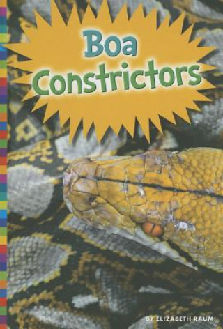 Kniha Boa Constrictors Elizabeth Raum