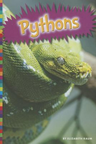 Книга Pythons Elizabeth Raum