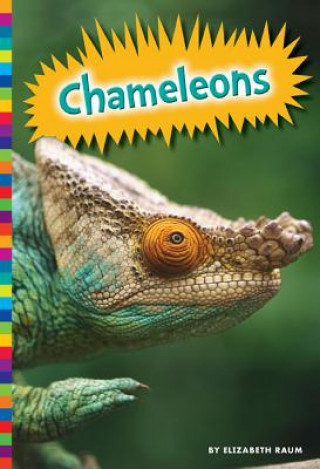 Könyv Chameleons Elizabeth Raum