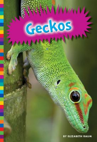 Knjiga Geckos Elizabeth Raum