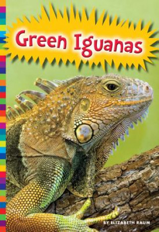 Kniha Green Iguanas Elizabeth Raum