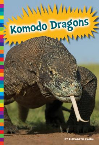 Kniha Komodo Dragons Elizabeth Raum